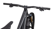 S-Works Turbo Kenevo SL 2