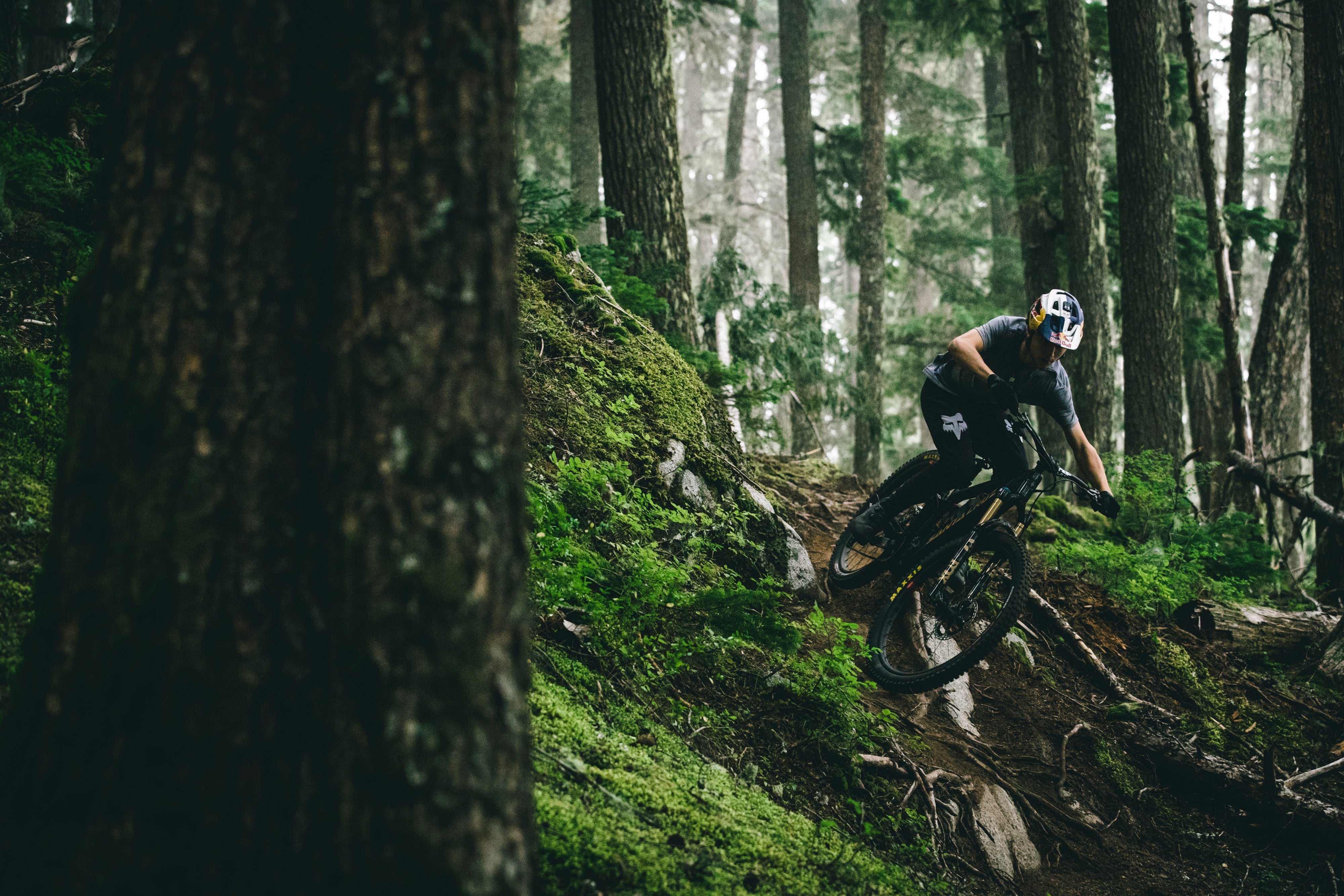 https://www.santacruzbicycles.com/cdn/shop/files/AM_Jackson-VALA-240903-156.jpg?v=1736801438&width=4000