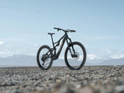 Amflow PX Carbon