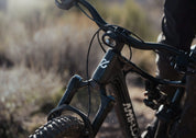 Amflow PX Carbon