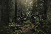 Amflow PR Carbon