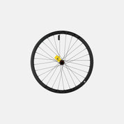 WHL MY18 CONTROL SL 29, REAR, CARBON, TA, 12X148MM, DISC, 6-BOLT, 28H, SHIMANO 10-SPD FHB (LFM02R) - SATIN CARBON W/ BLACK DCL