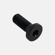 BLT TURBO CONNECT UNIT (TCU) MOUNTING BOLT, T10 TORX, M4X0.7PX10MM, ALLOY, BLACK