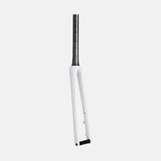 FRK MY23 SW AETHOS, 700C, TA, CARBON, 12X100MM, DISC, 47MM OFFSET, SIZES 49/52CM-BRCH/ABLN/DUNEWHT