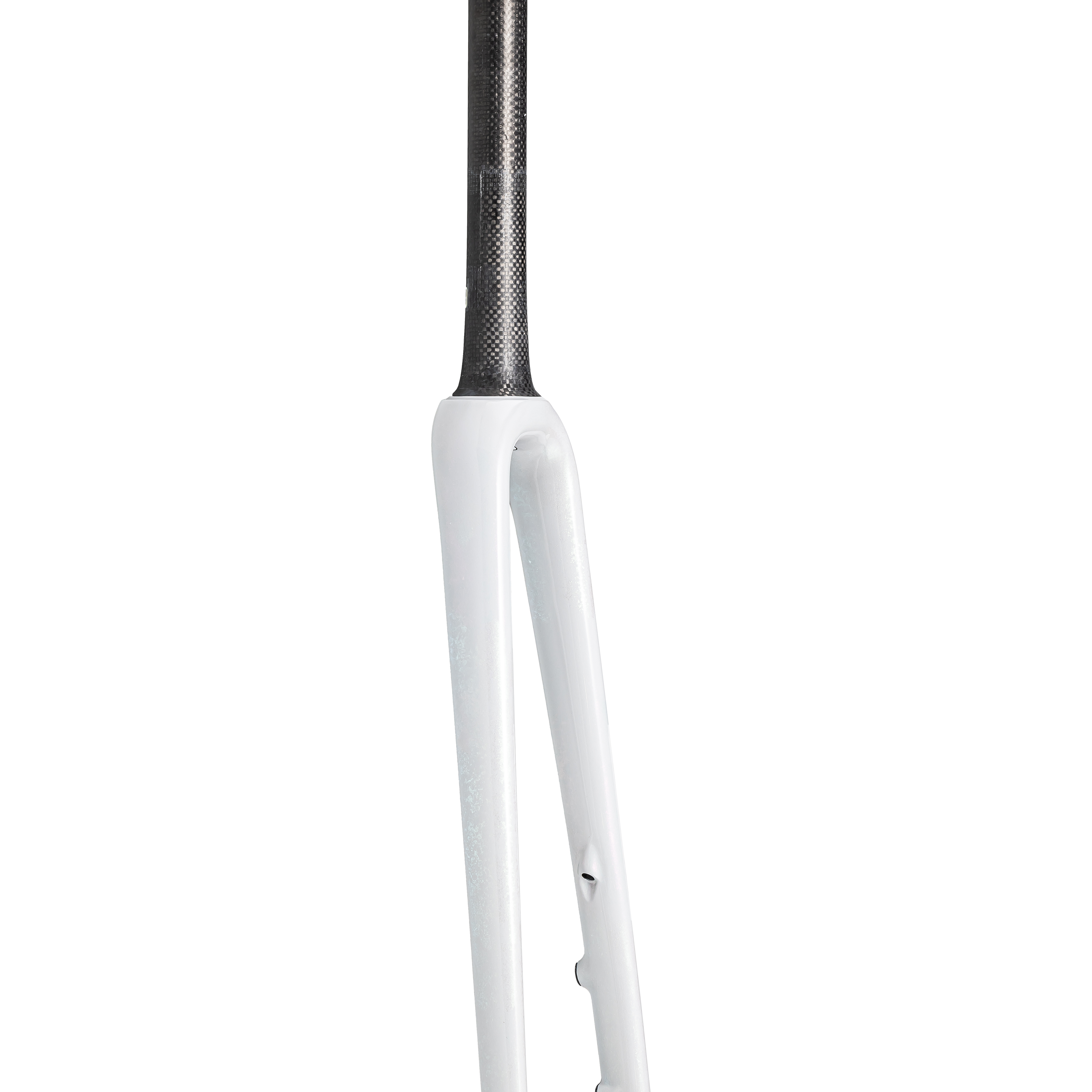S222300178_01.png